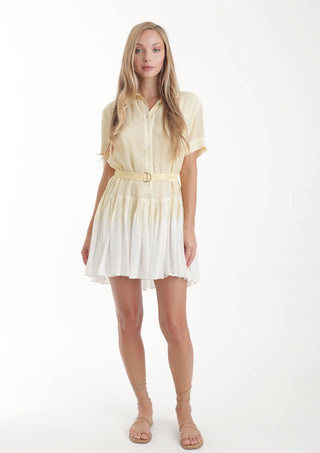 Sunshine Ombre Mini Dress
