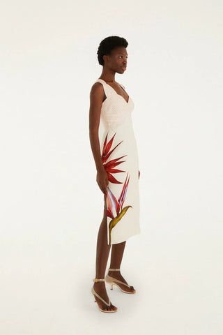 Stretlitzia Sand Midi Dress