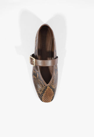 Vick Pattern Buckle Flat
