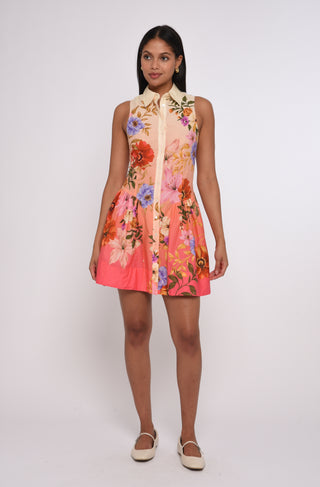 sierra mini dress Sierra Mini Dress Splendor in the Garden / Small