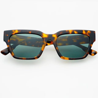 Hayden - Brown Tortoise