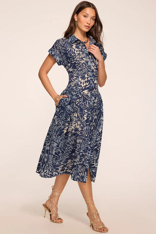 Kate Dress