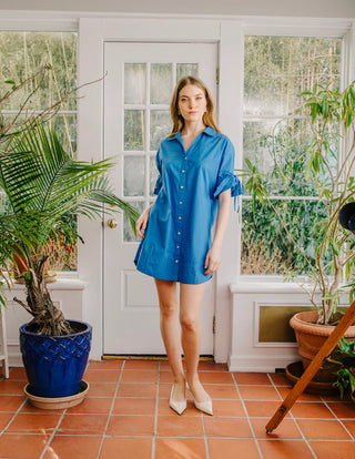 Shannon Mini Dress