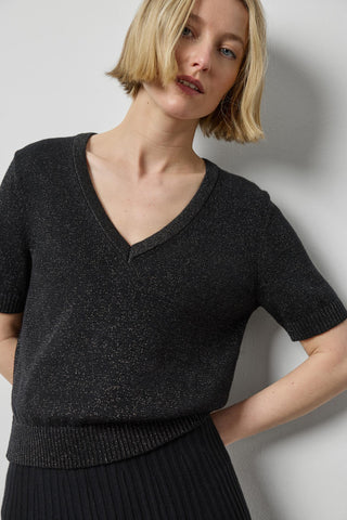 Short Sleeve V-Neck Sparkle Sweater