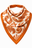 Burnt Orange Paisley